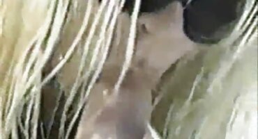 তরুণ হট সেক্স ভিডিও ট্রুডোভিক পাগল হয়ে গেল এবং ভোকেশনাল স্কুলের ছাত্রকে শেষ করে দিল